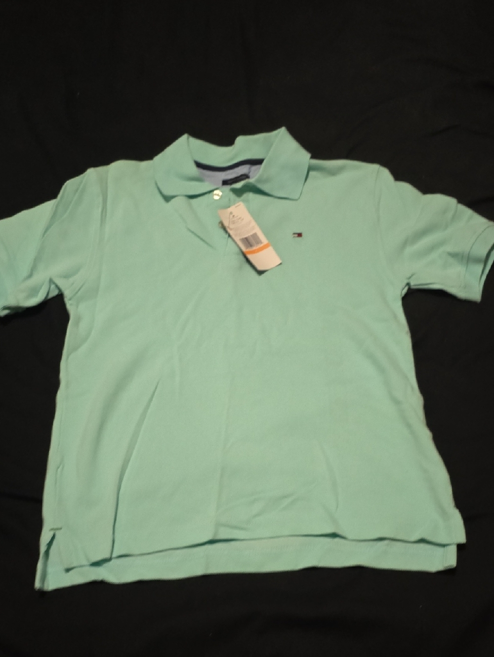 Tommy Hilfiger Light Mint Green Short-Sleeve Polo